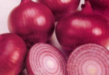 ડુંગળી ખાવાના ફાયદા